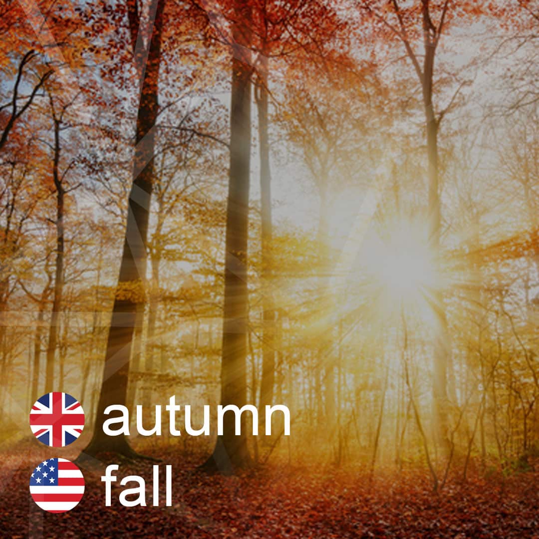 autumn - fall - jesen