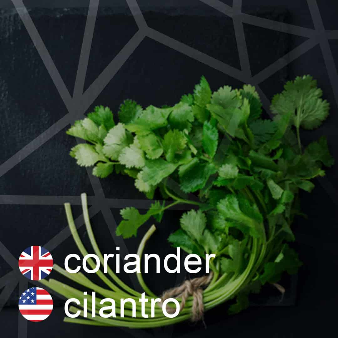Britská a americká angličtina: coriander - cilantro - koriander