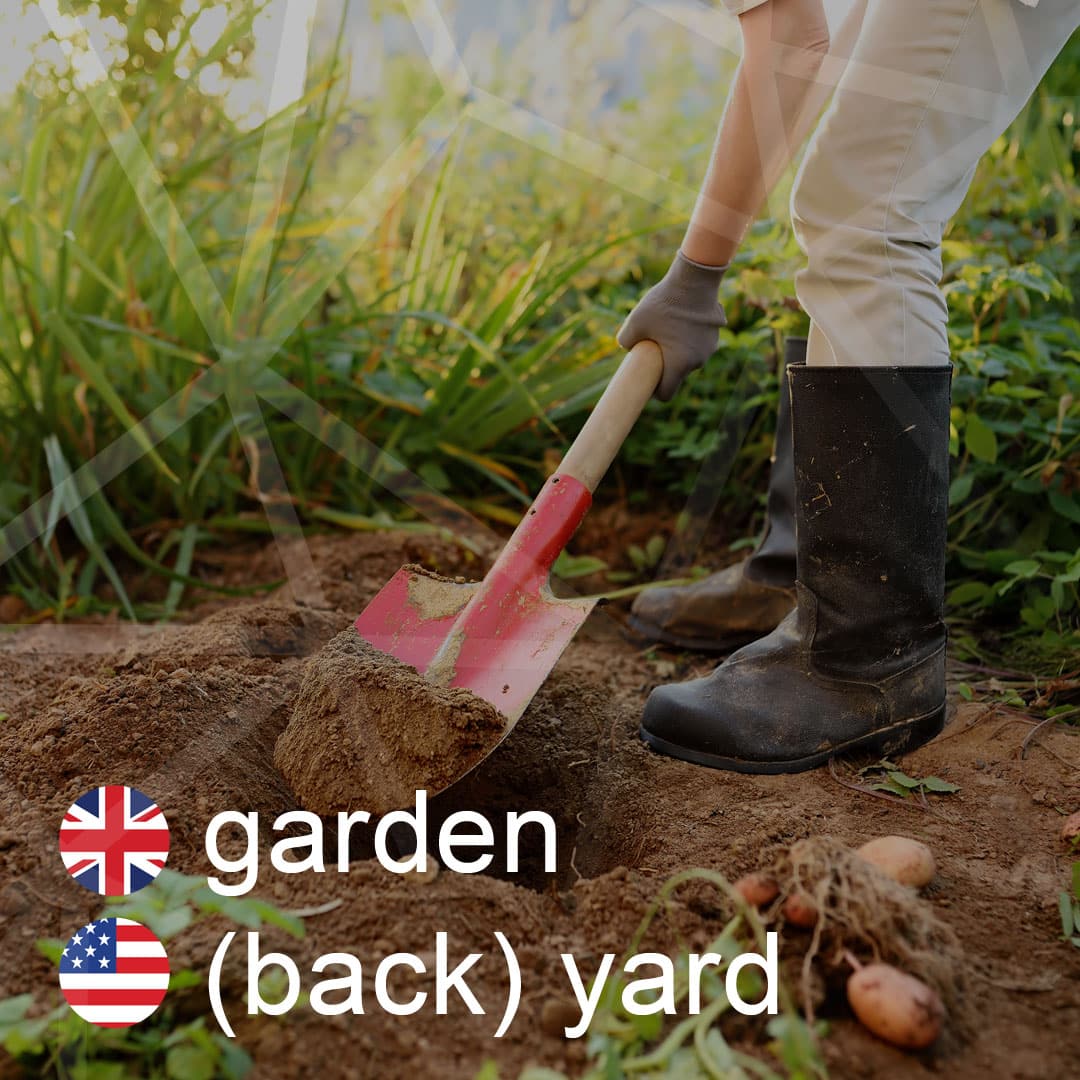 garden - back-yard - zahrada