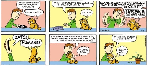 Garfield a vety v angličtine
