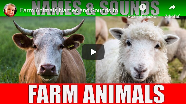 Farm Animals Names and Sounds for Kids