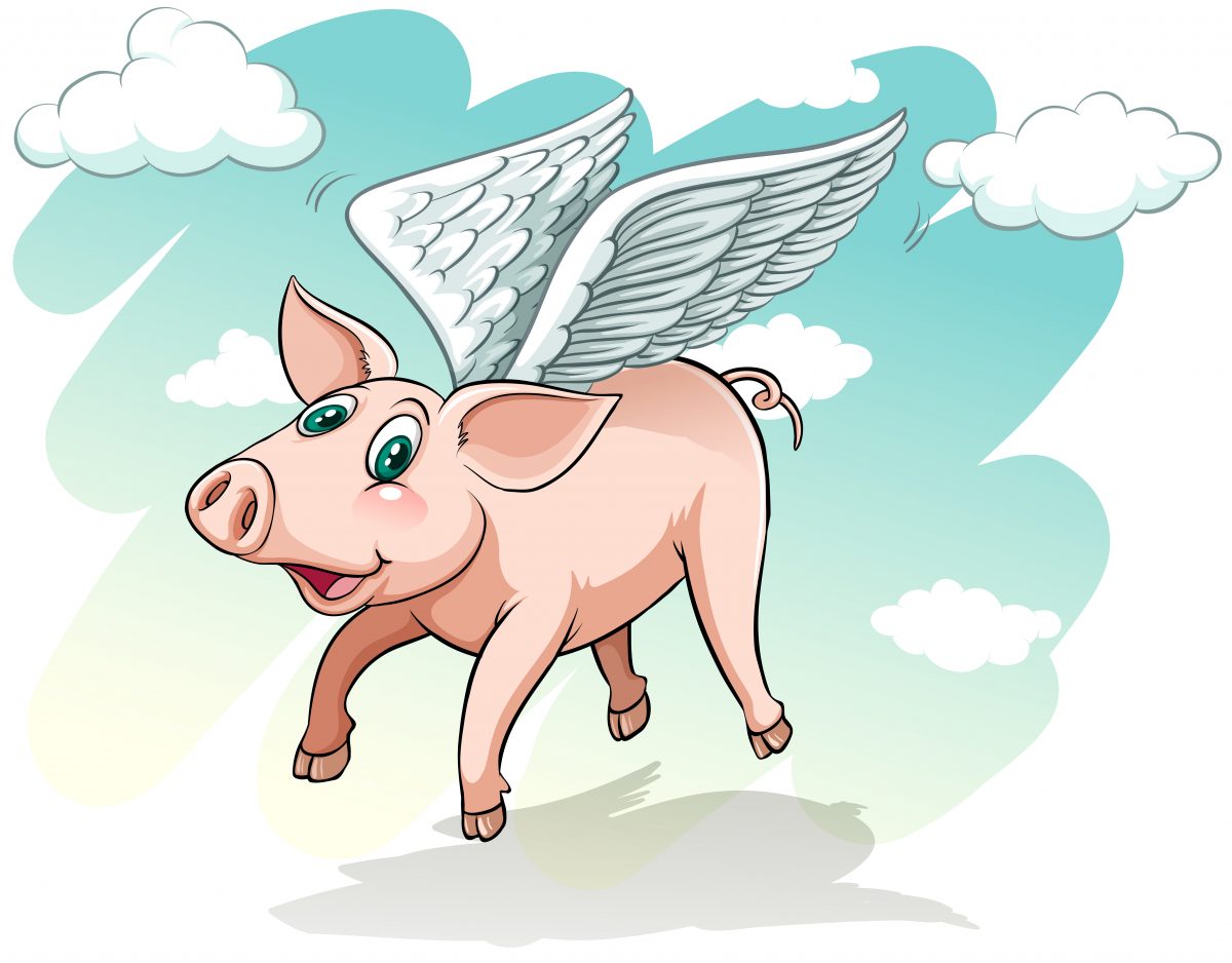 When pigs fly