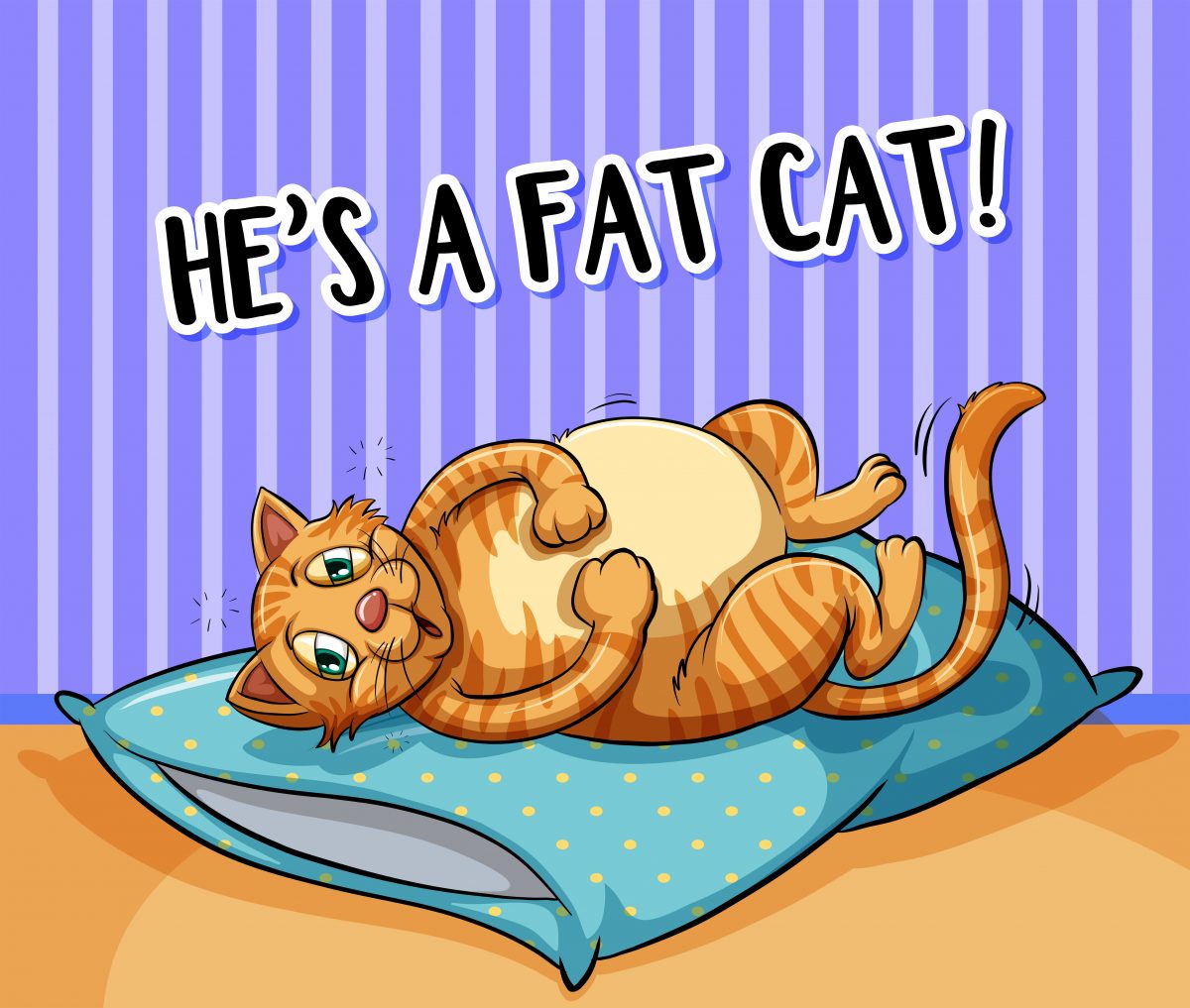 He´s a fat cat
