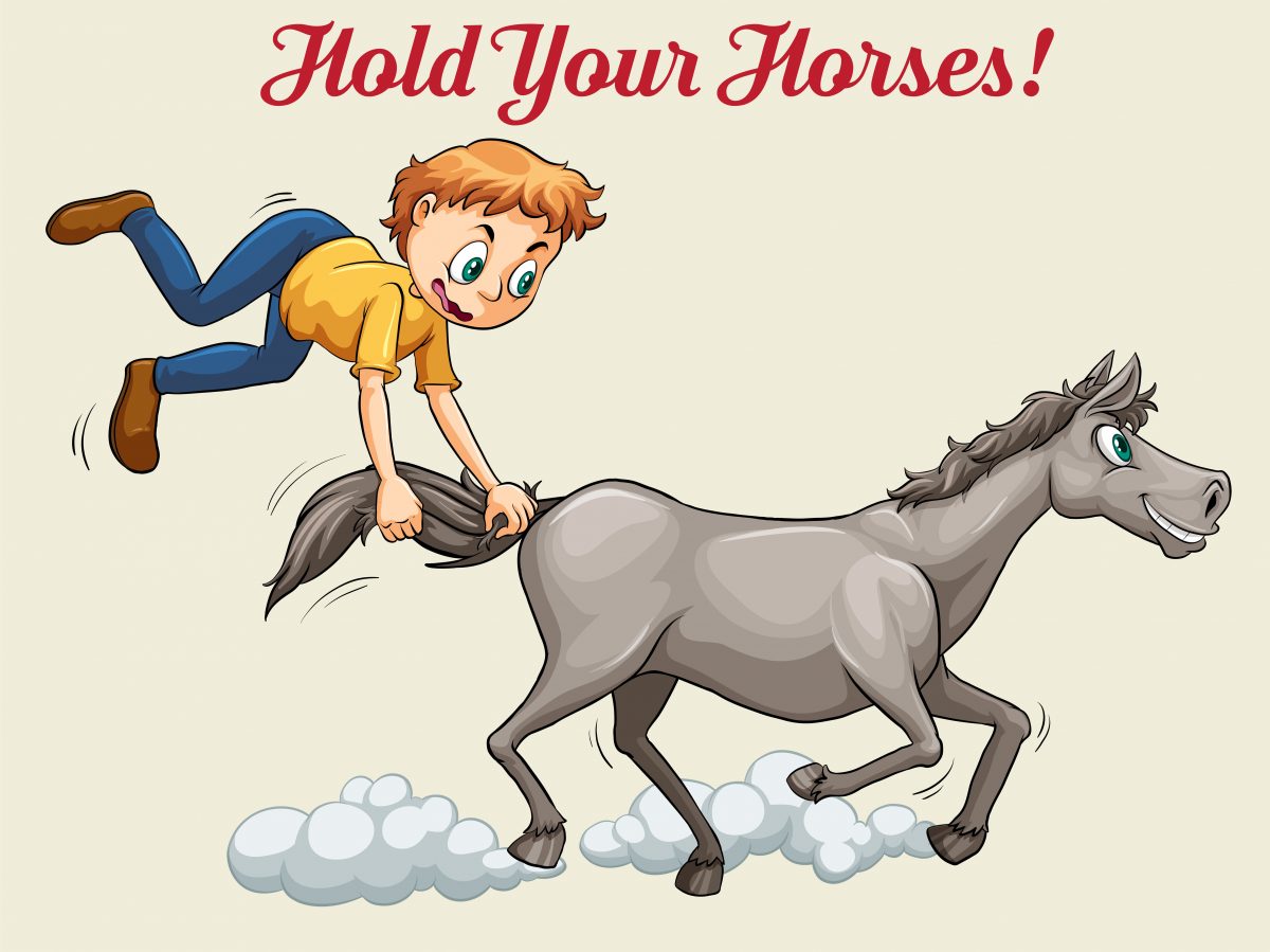 Idiomy v angličtine - Hold your horses