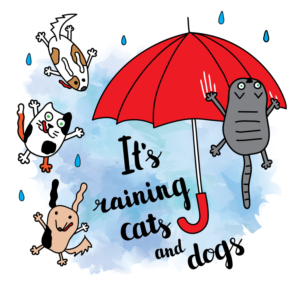 It´s raining cats and dogs