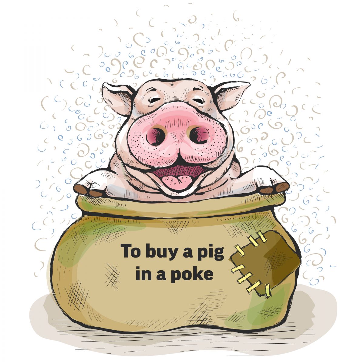 To buy a pig in a poke